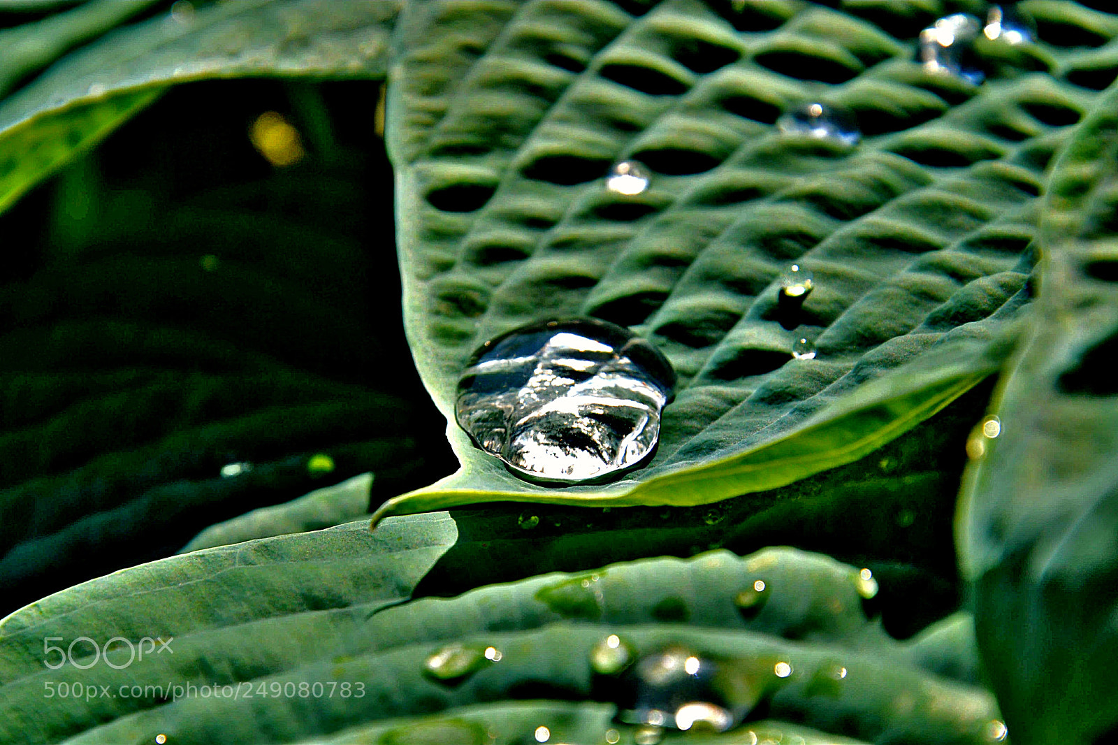 Nikon D3100 sample photo. Untitled photography