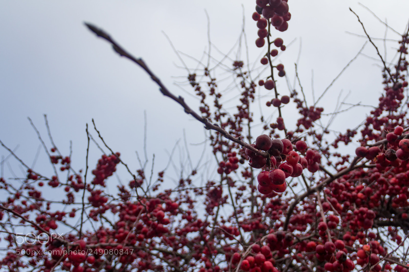Canon EOS 60D sample photo. Ile de noirmoutier photography