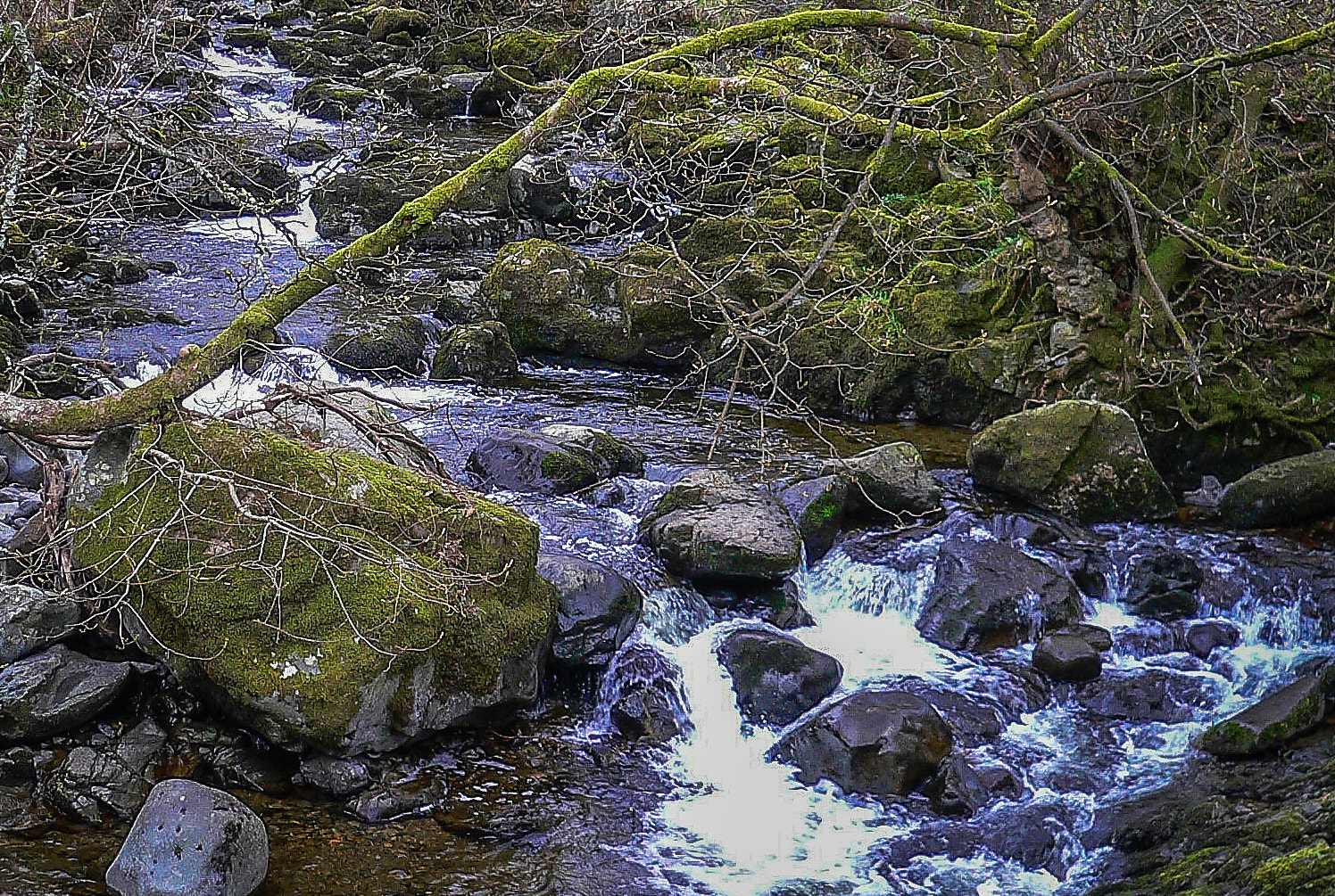 Panasonic DMC-FX7 sample photo. Babbling brook photography