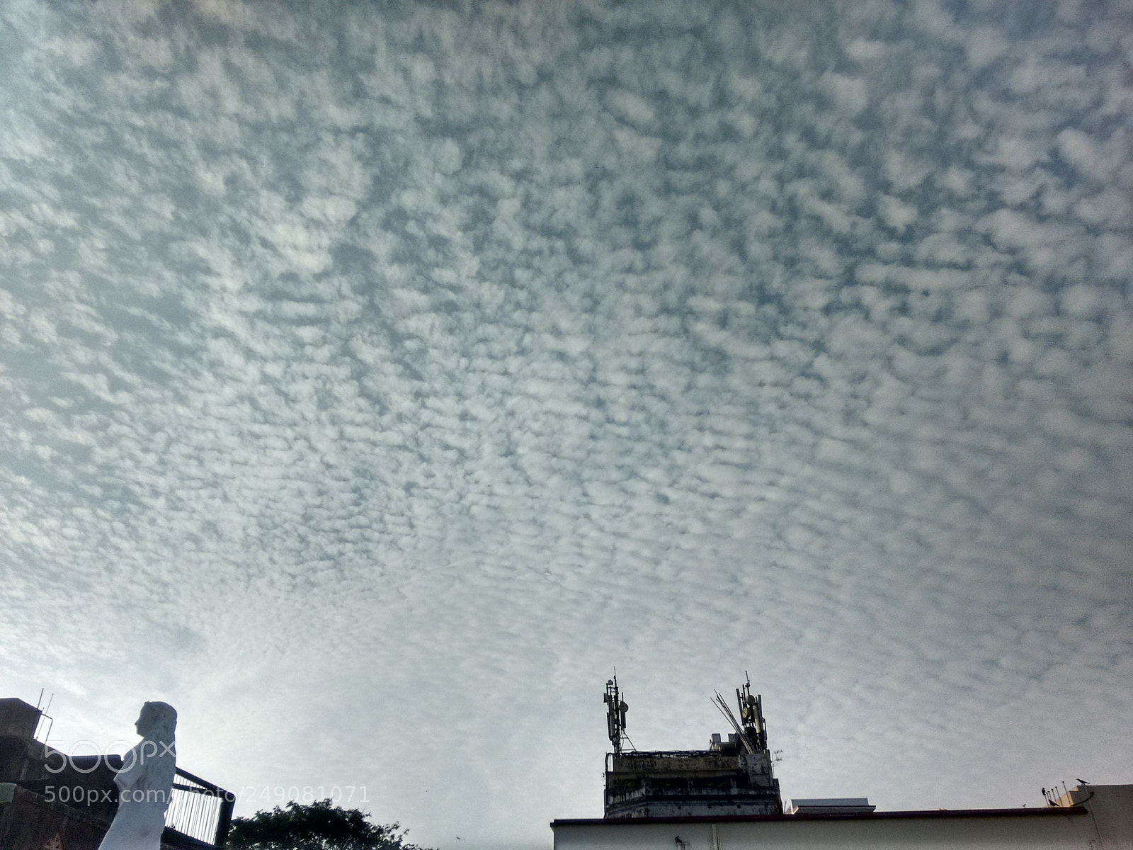 Motorola Moto G (2nd Gen) sample photo. Photography photography