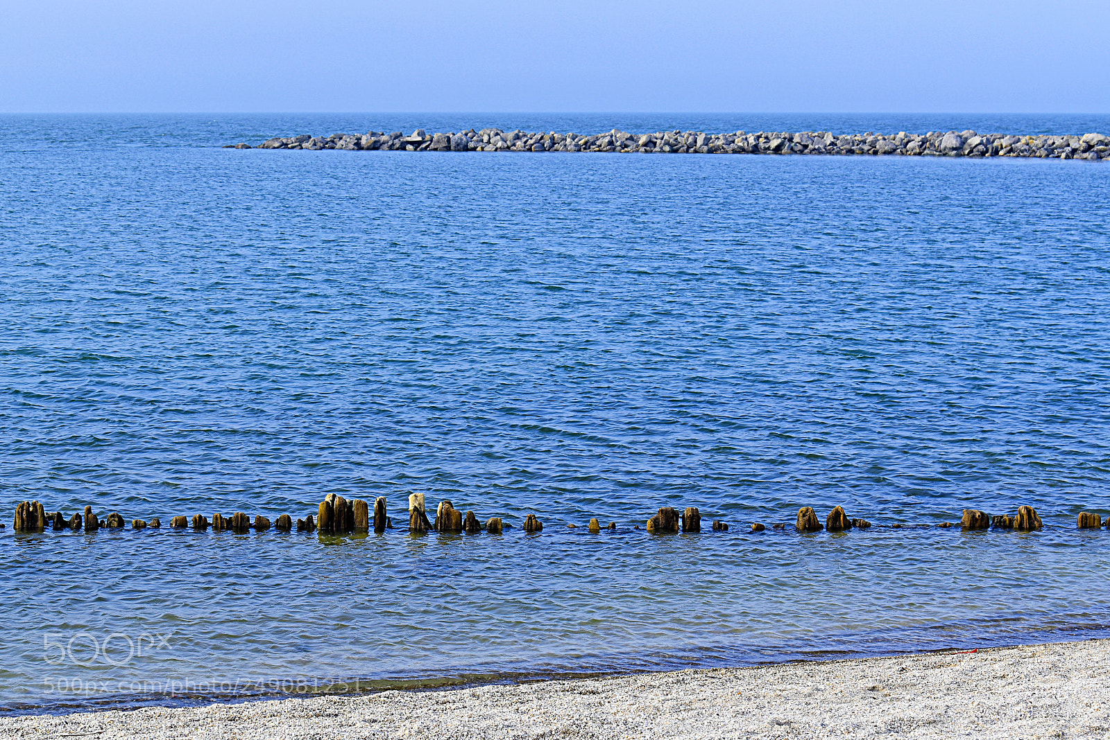 Nikon D5600 sample photo. Синева photography