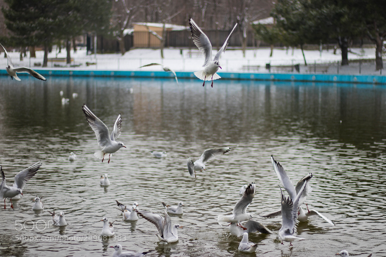 Canon EOS 760D (EOS Rebel T6s / EOS 8000D) sample photo. Img3276.jpg photography