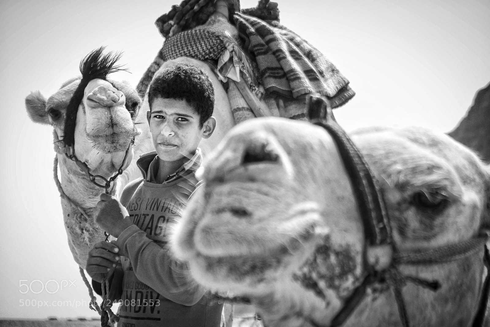 Canon EOS 700D (EOS Rebel T5i / EOS Kiss X7i) sample photo. Need a camel ! photography