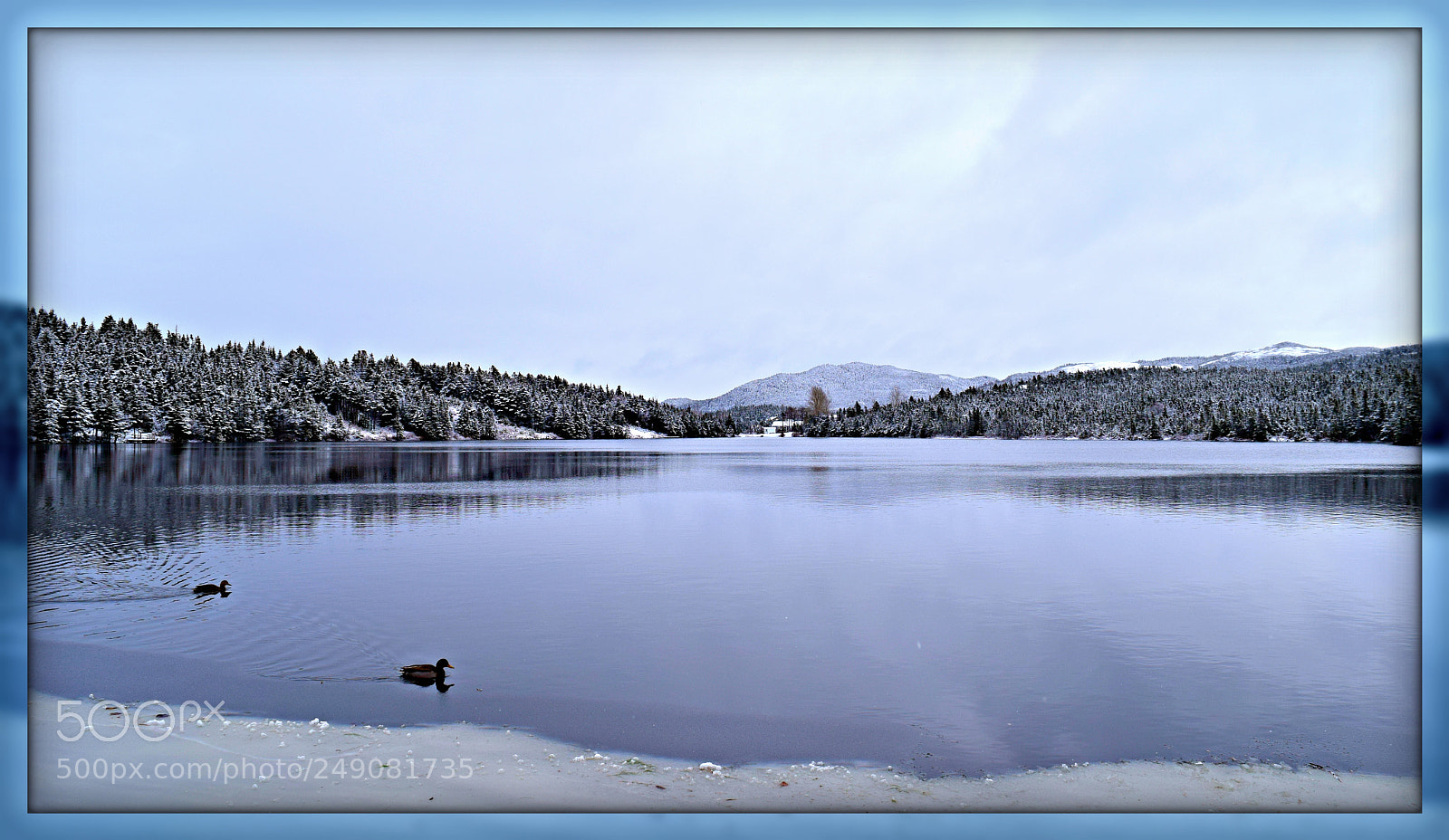 Nikon D3300 sample photo. Bowes pond,marystown,nl,canada photography