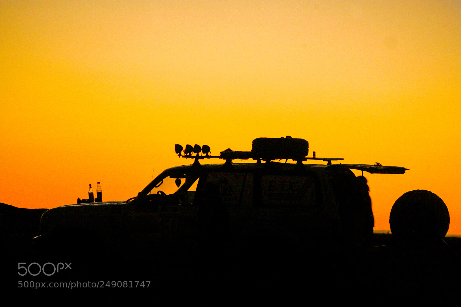 Canon EOS-1D Mark II sample photo. Sahara relax photography
