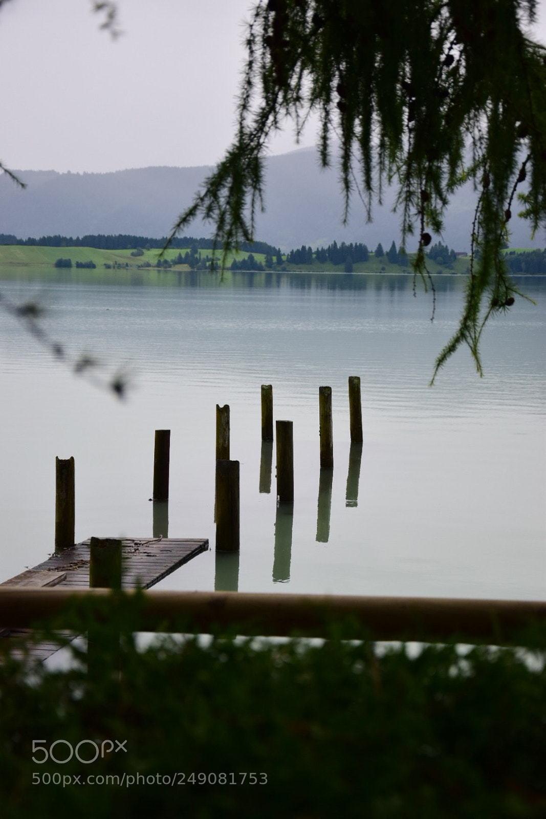 Nikon D5300 sample photo. Untitled photography