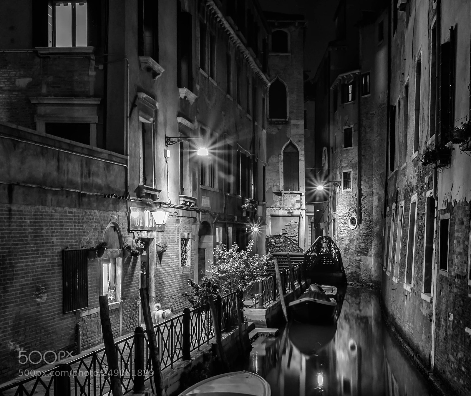 Canon EOS 80D sample photo. Dense #3 photography
