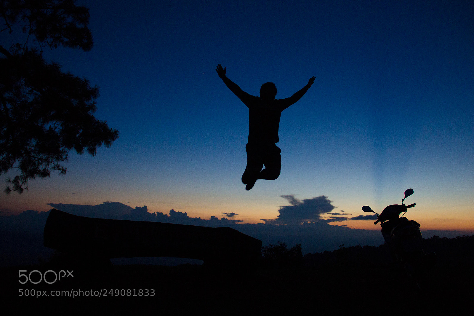 Canon EOS 60D sample photo. Fly away photography