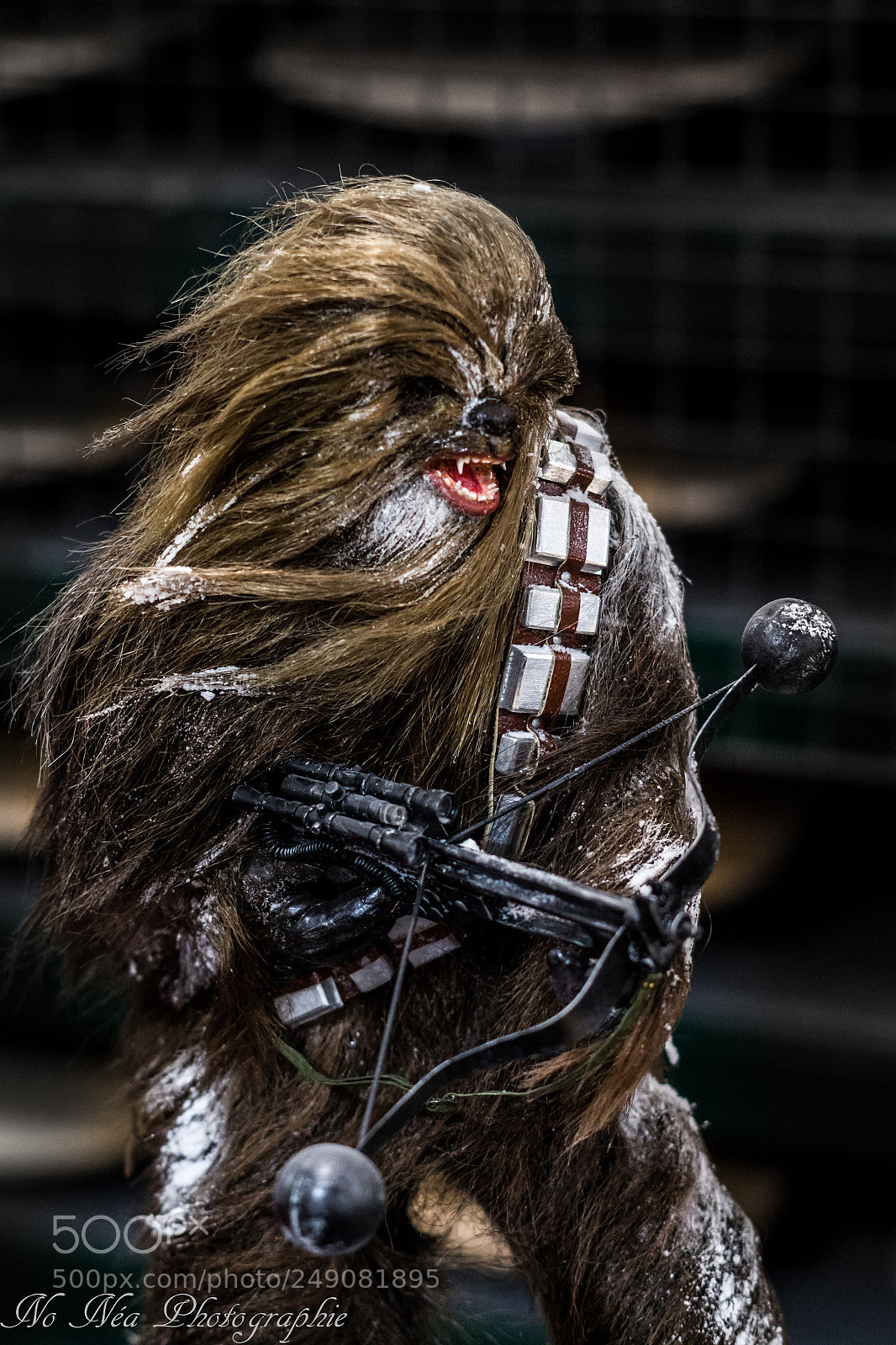 Pentax K-S2 sample photo. Chewbaca photography