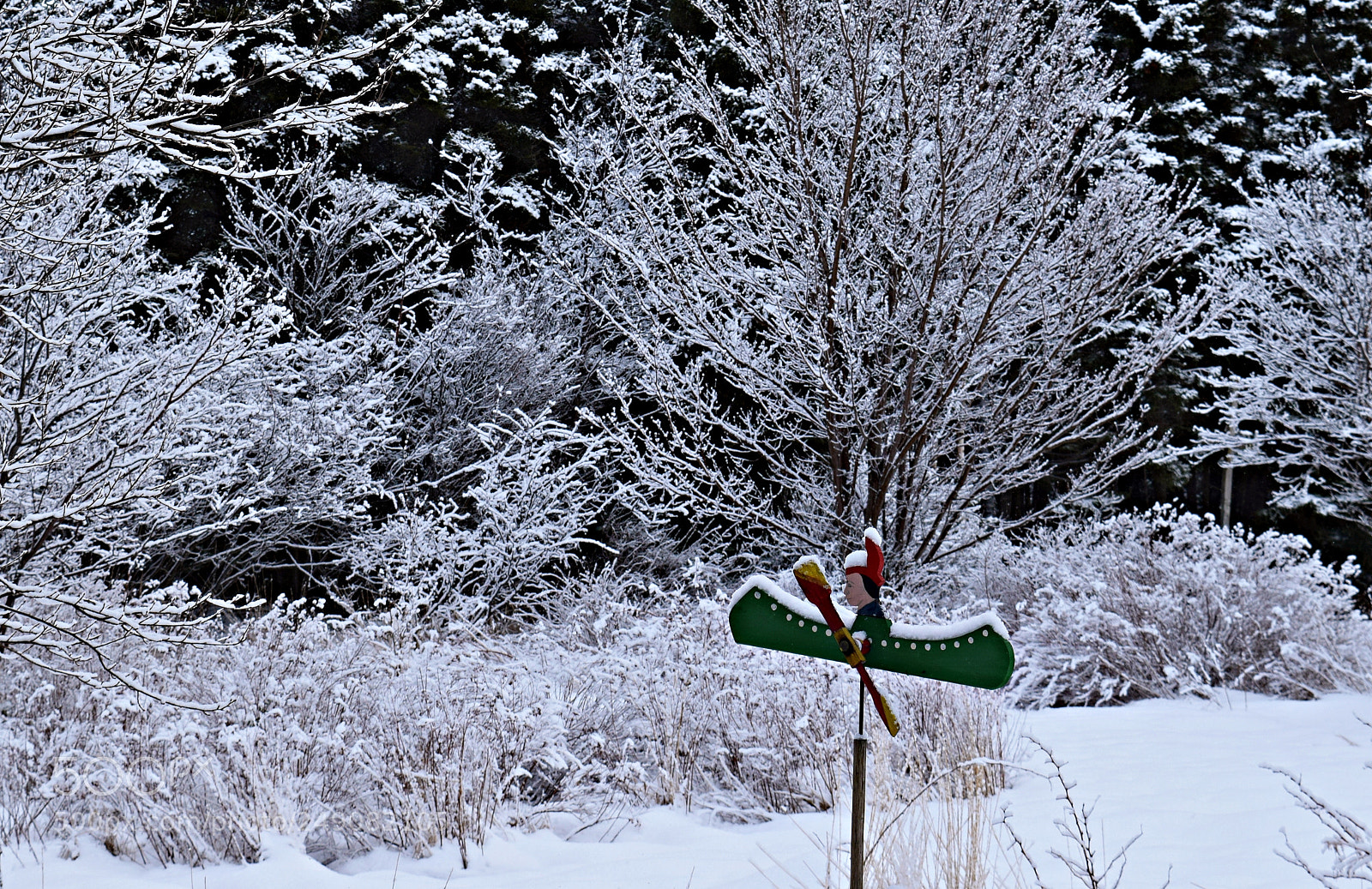 Nikon D3300 sample photo. Untitled photography