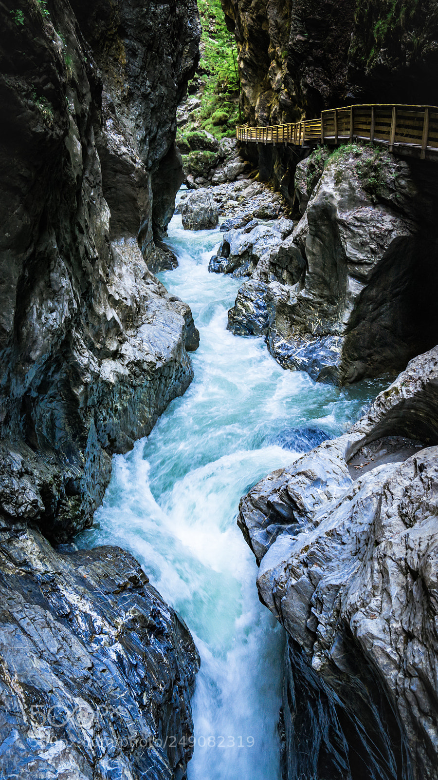 Sony a7 II sample photo. Sanity photography