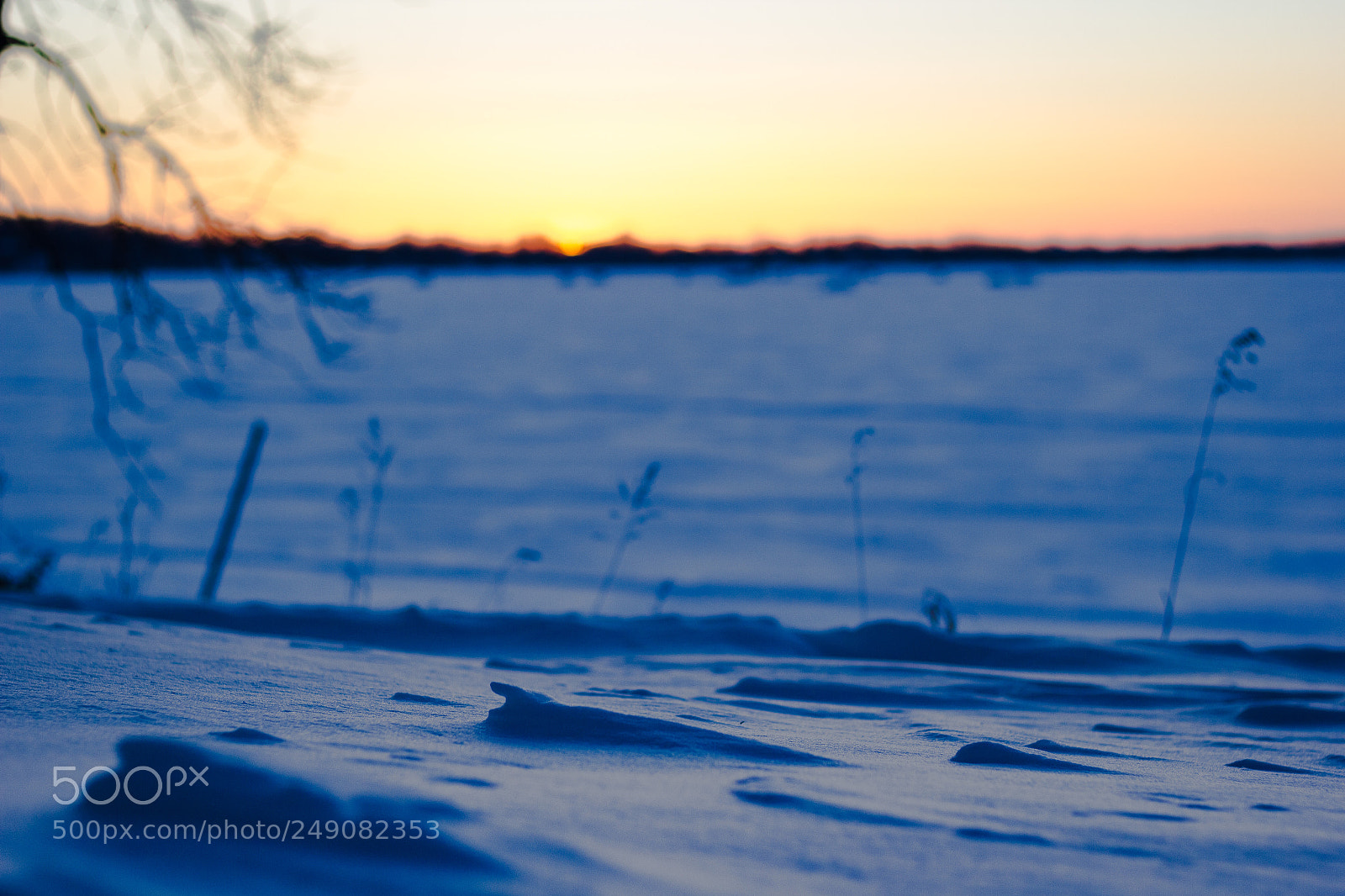Canon EOS 550D (EOS Rebel T2i / EOS Kiss X4) sample photo. Frozen sunset photography