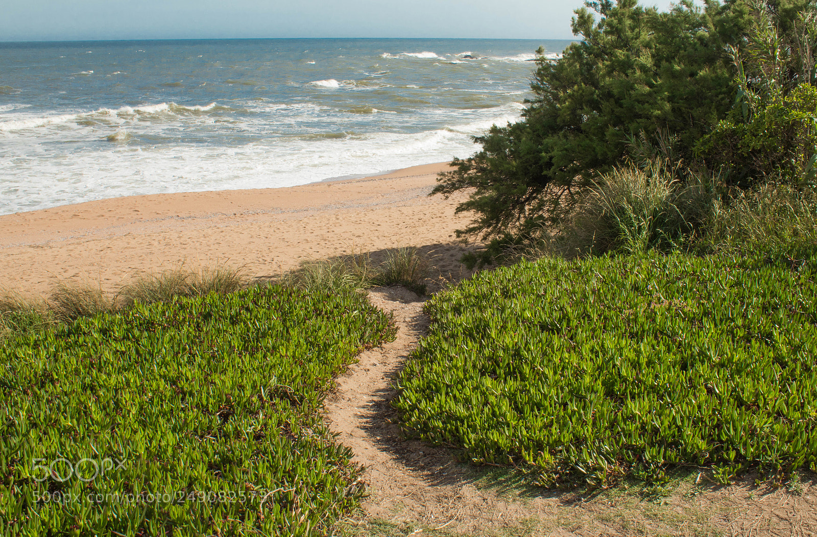 Canon EOS 1300D (EOS Rebel T6 / EOS Kiss X80) sample photo. Camino a la playa photography