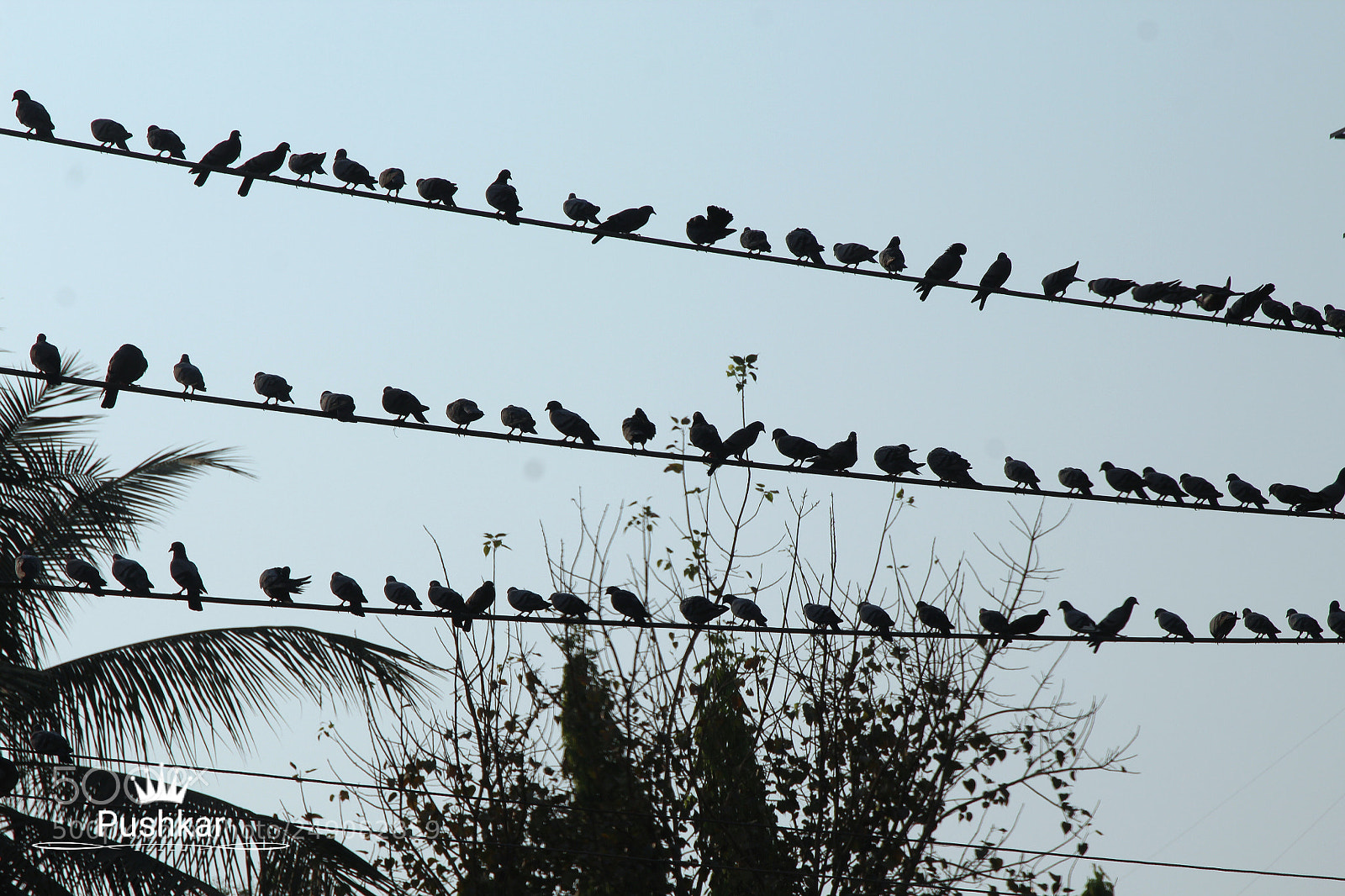 Canon EOS 1200D (EOS Rebel T5 / EOS Kiss X70 / EOS Hi) sample photo. Pattern photography