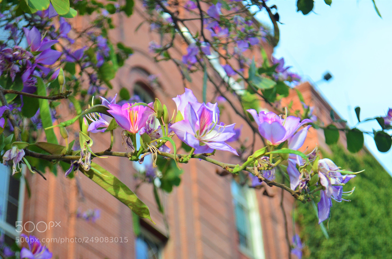 Nikon D5100 sample photo. Beauty photography