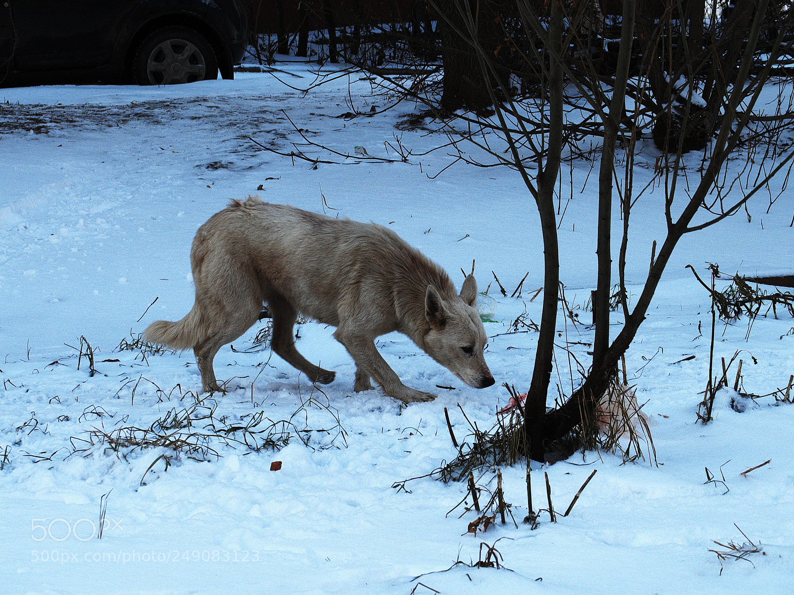 Fujifilm X20 sample photo. Голод не тетка hunger is not aunt photography