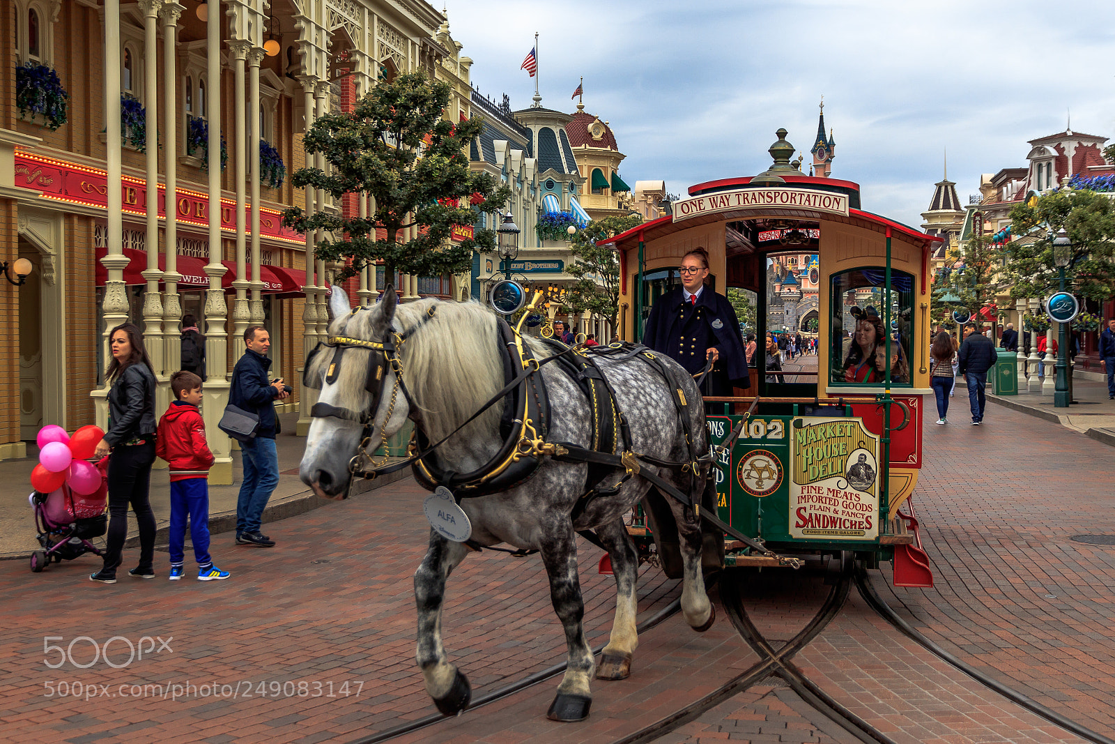 Canon EOS 80D sample photo. Horse tram at disneyland photography