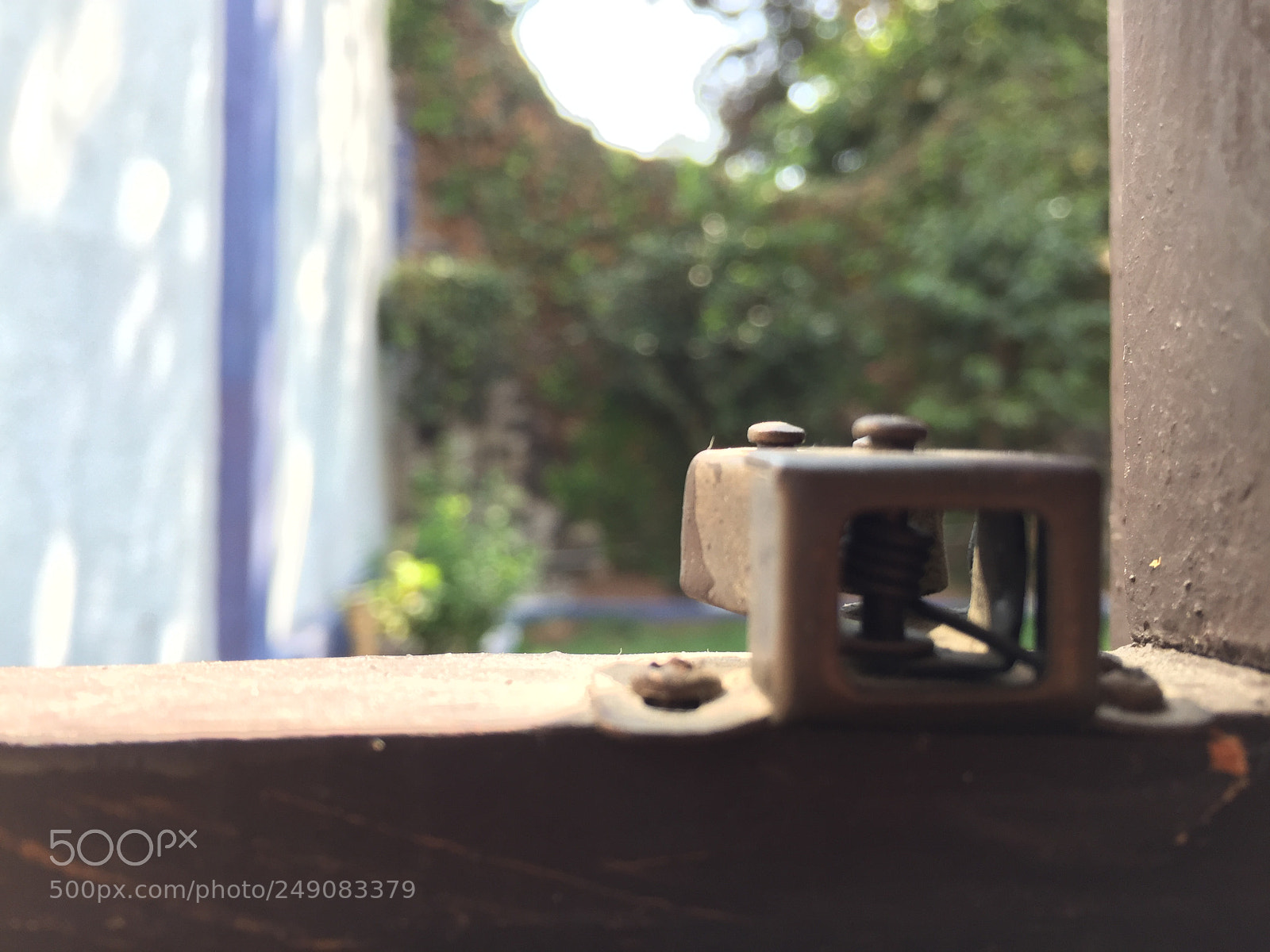 Apple iPhone 6 Plus sample photo. Untitled photography