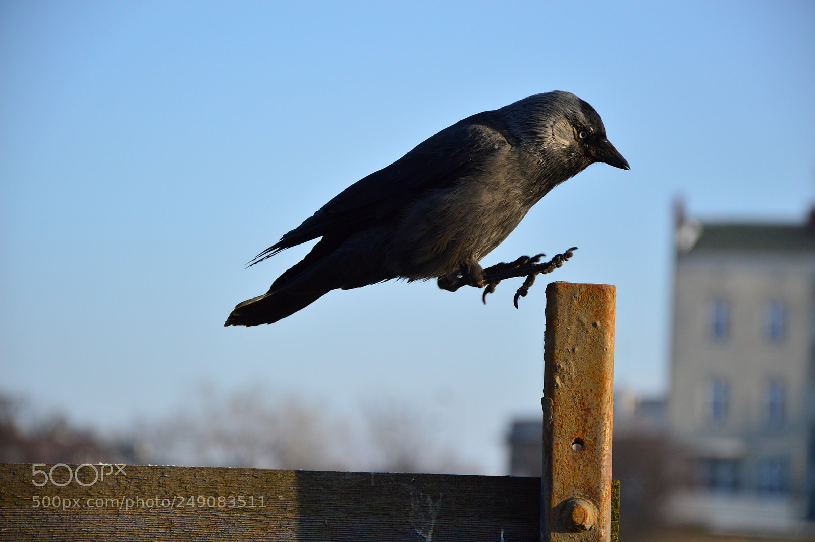 Nikon D3200 sample photo. Catch the moment photography