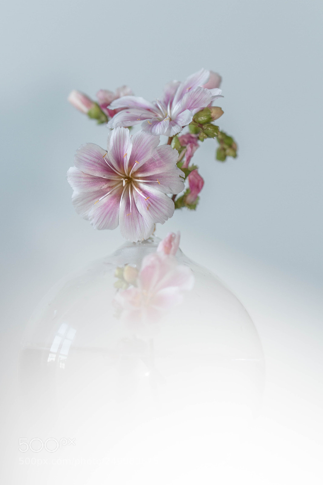 Canon EOS 7D sample photo. Pastel au naturel photography