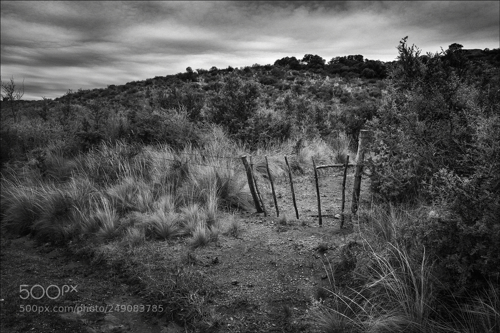 Leica Q (Typ 116) sample photo. La tranquera del camino photography