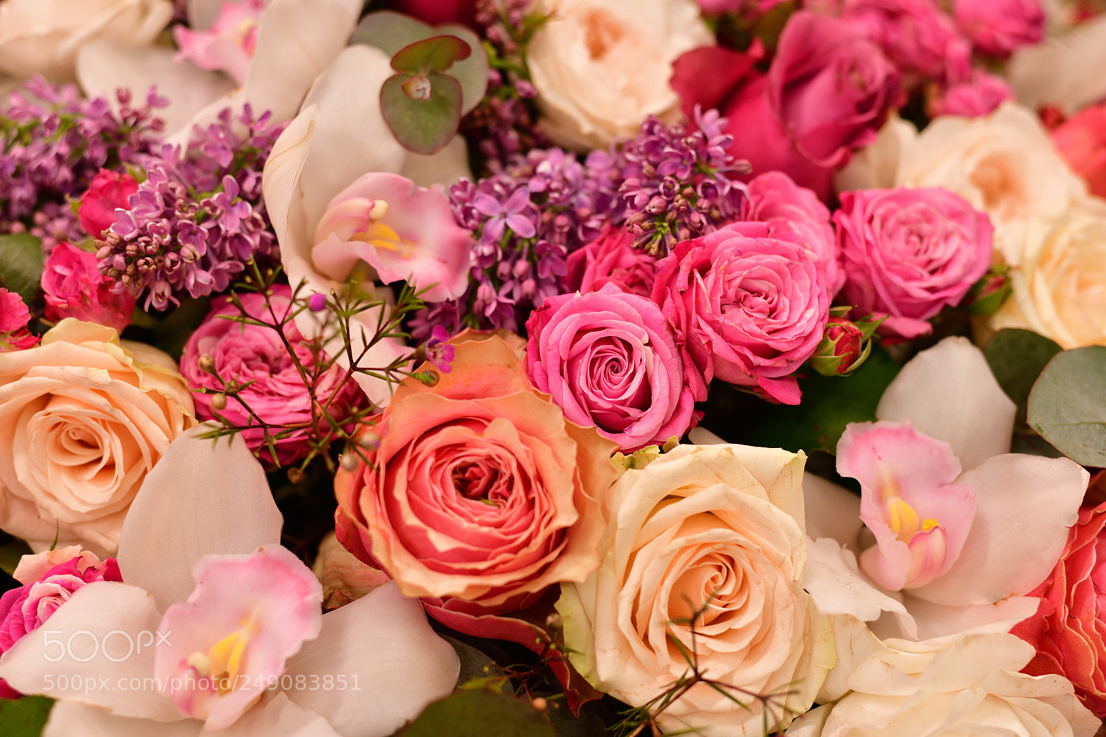 Nikon D850 sample photo. Lilac flowers and roses photography