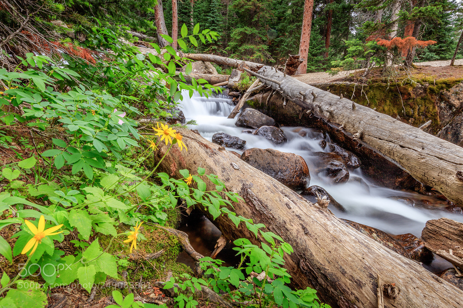 Canon EOS 5DS R sample photo. Rocky's cascade falls photography