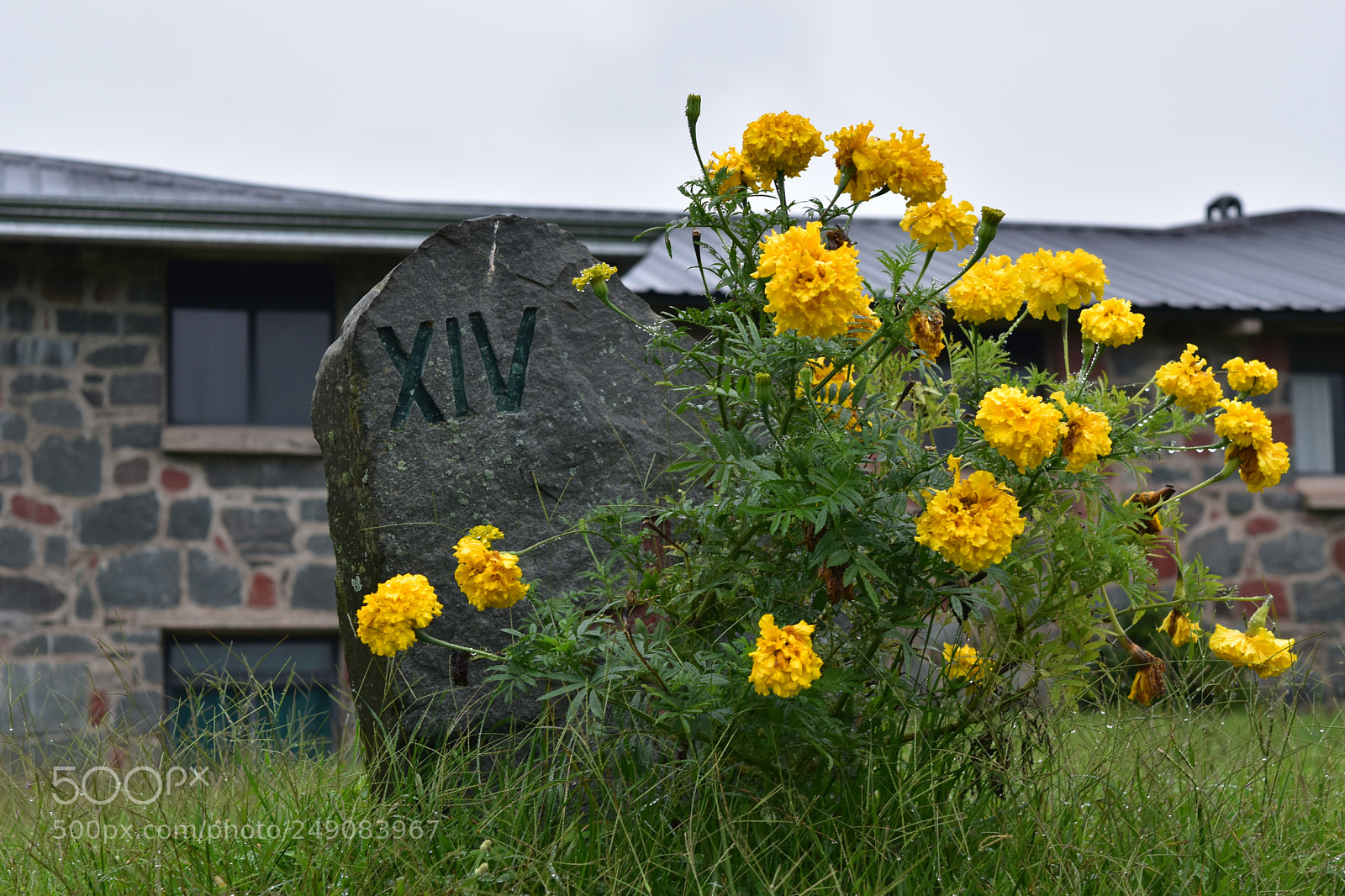 Nikon D5500 sample photo. Untitled photography