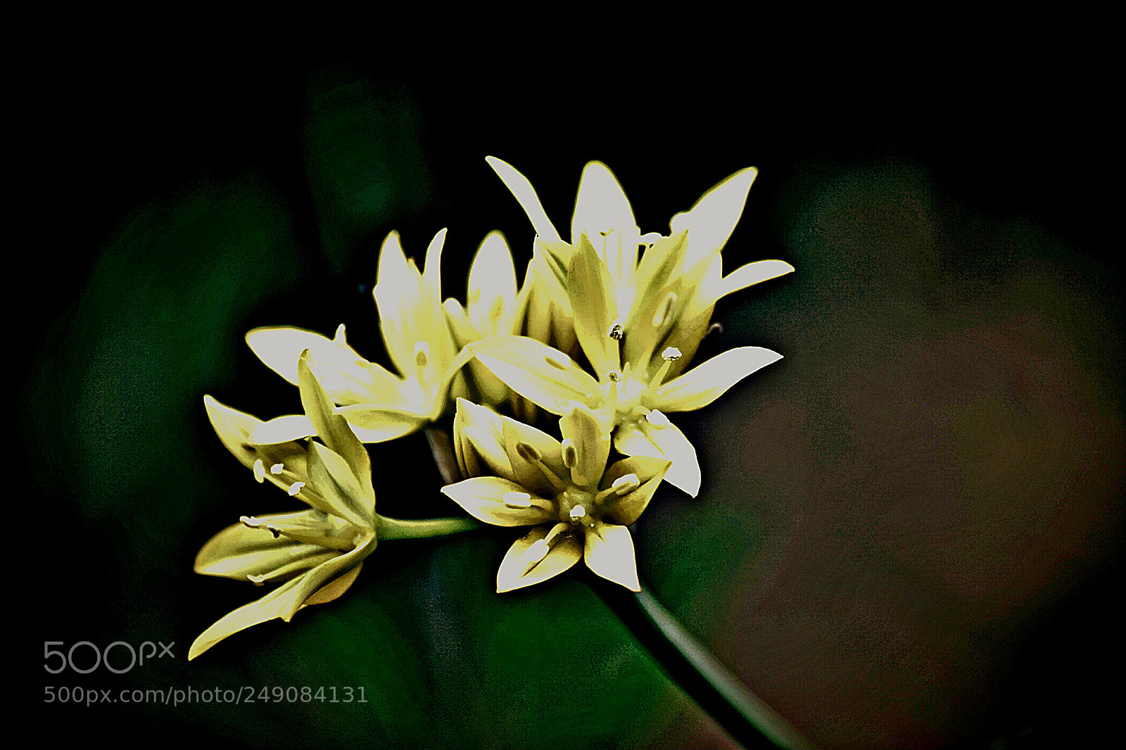 Nikon D3100 sample photo. Untitled photography