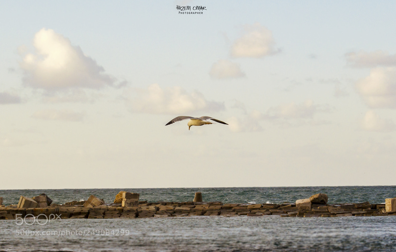 Nikon D3100 sample photo. Untitled photography