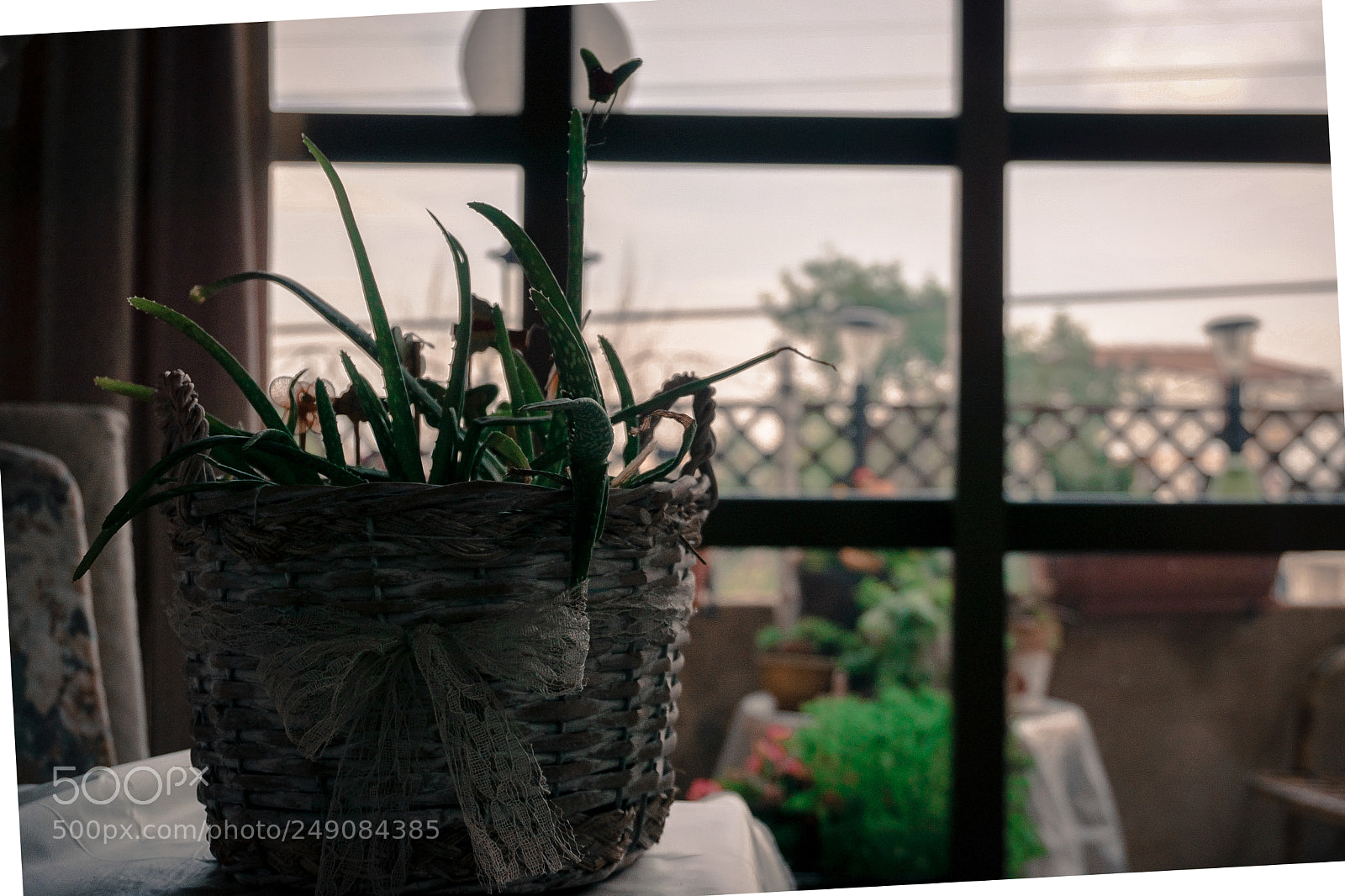 Sony a6000 sample photo. Perspective fixed(of ) photography