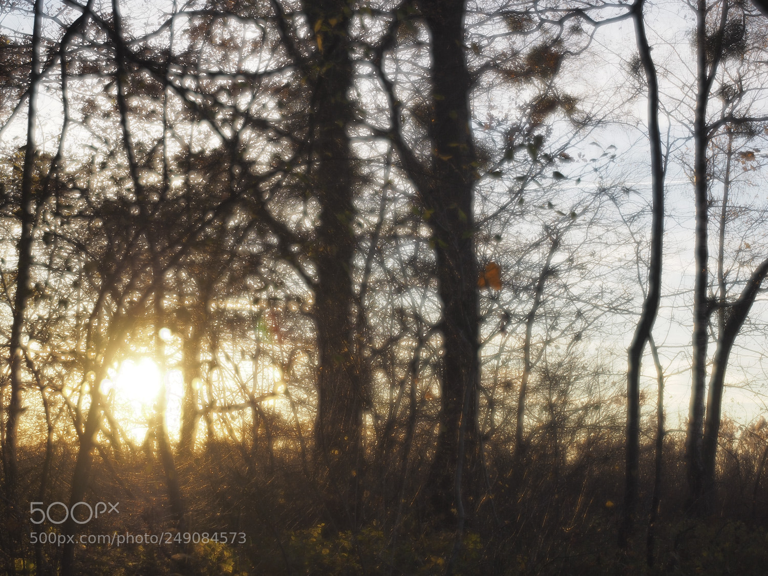 Olympus OM-D E-M1 sample photo. Sonnenuntergang photography