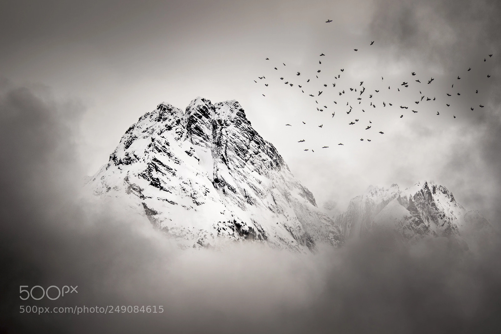 Canon EOS 7D Mark II sample photo. The birds photography
