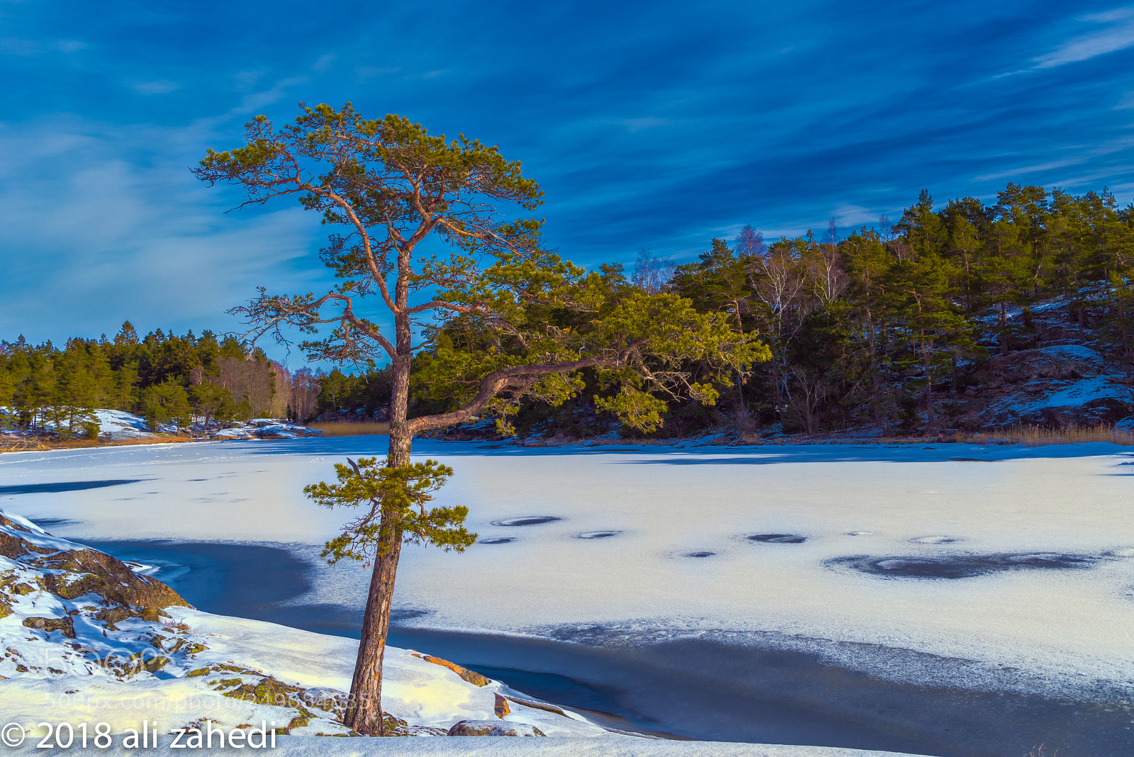 Nikon D810 sample photo. S:d:winters photography