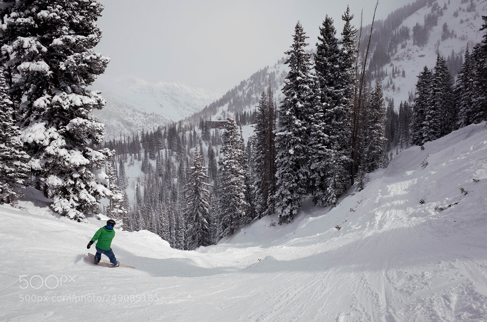 Ricoh GR II sample photo. Chute snowbird photography