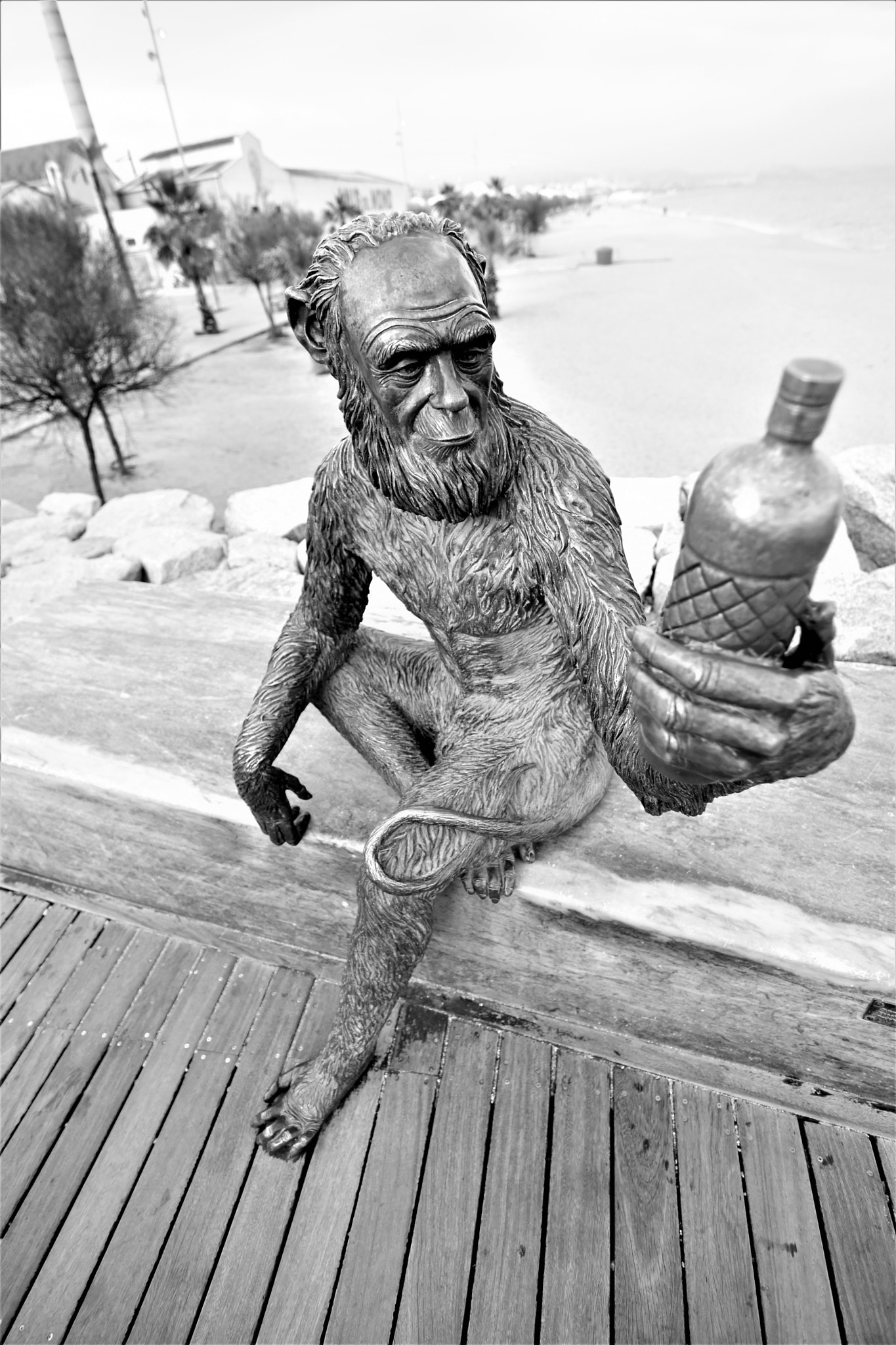 Nikon D7200 sample photo. Anís del mono photography