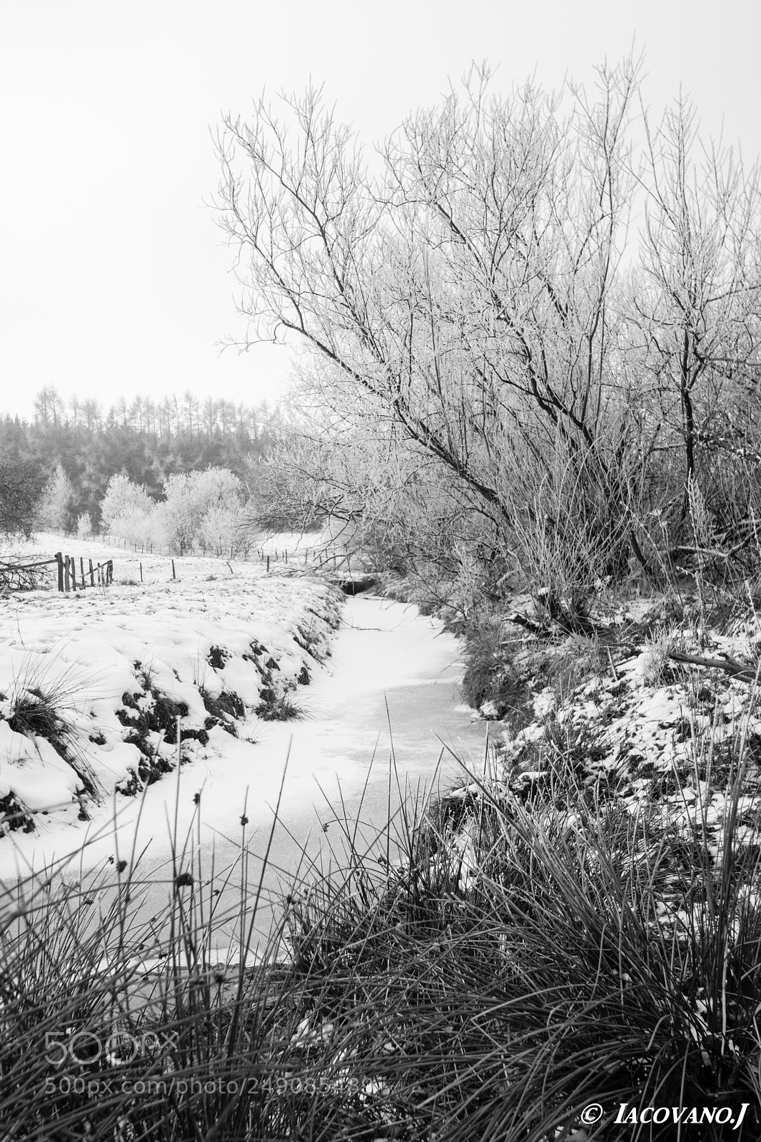 Nikon D7100 sample photo. Un dimanche matin hivernale photography