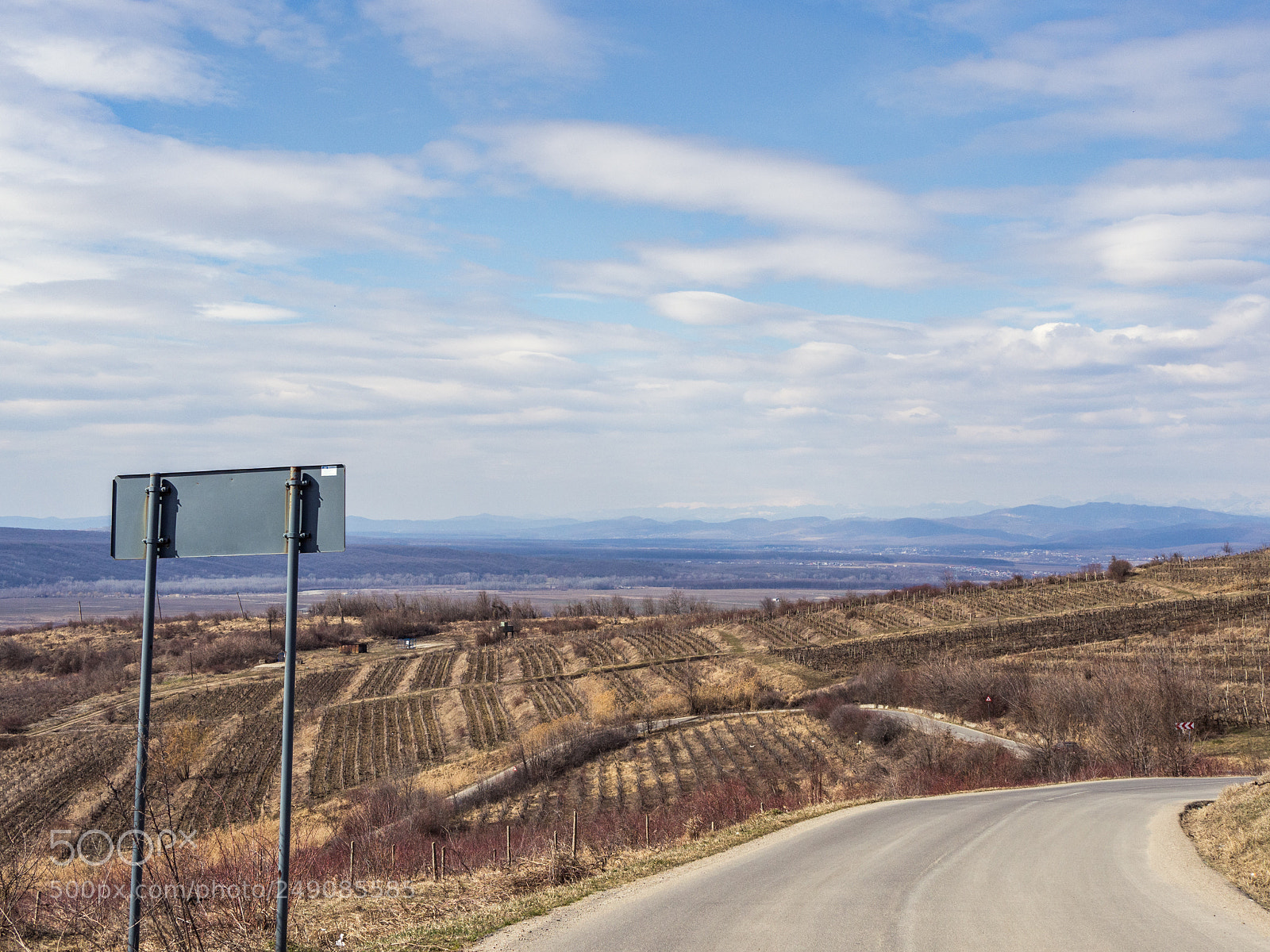 Olympus OM-D E-M10 II sample photo. Vine road photography