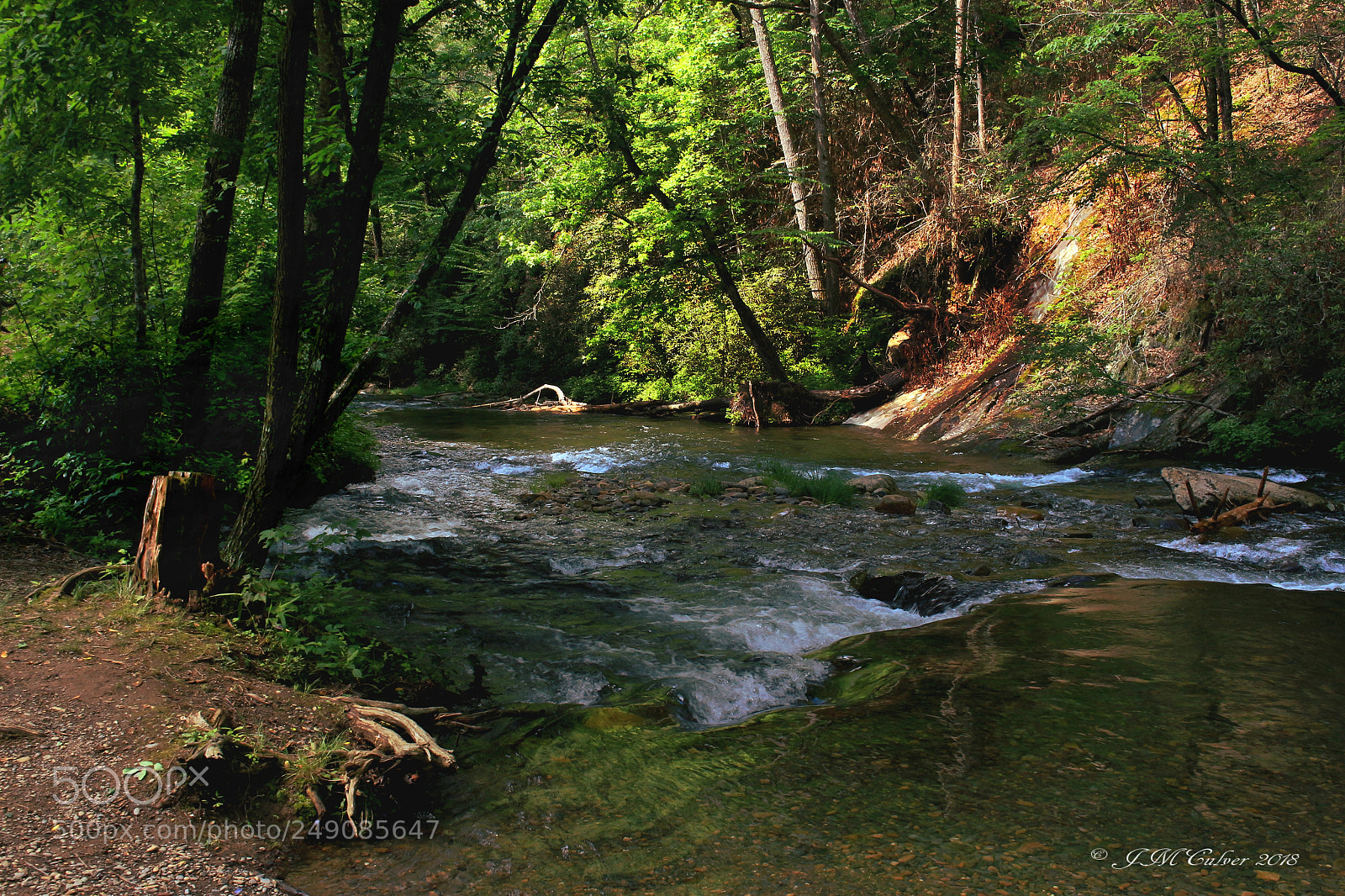 Canon EOS 700D (EOS Rebel T5i / EOS Kiss X7i) sample photo. Nantahala forest photography