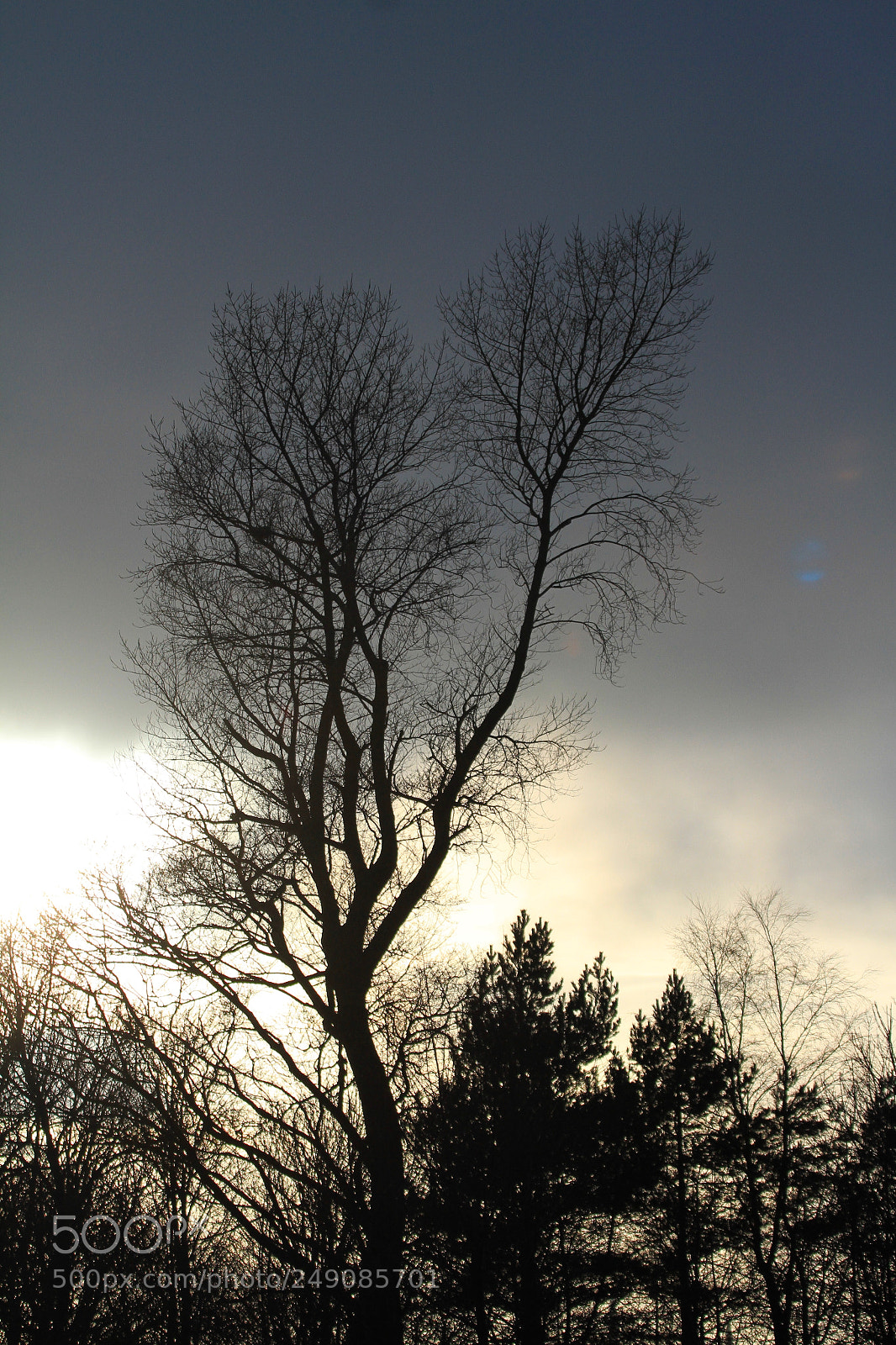 Canon EOS 7D sample photo. ... photography