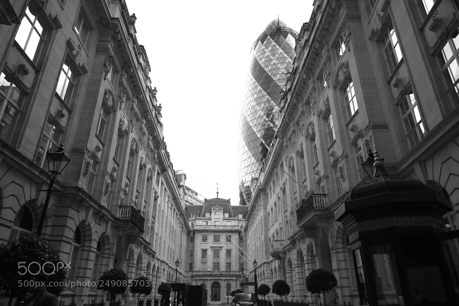 Nikon D810 sample photo. Gherkin photography