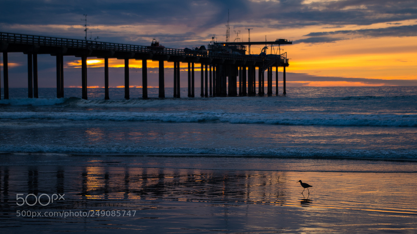 Pentax K-50 sample photo. Pier and sandpiper photography
