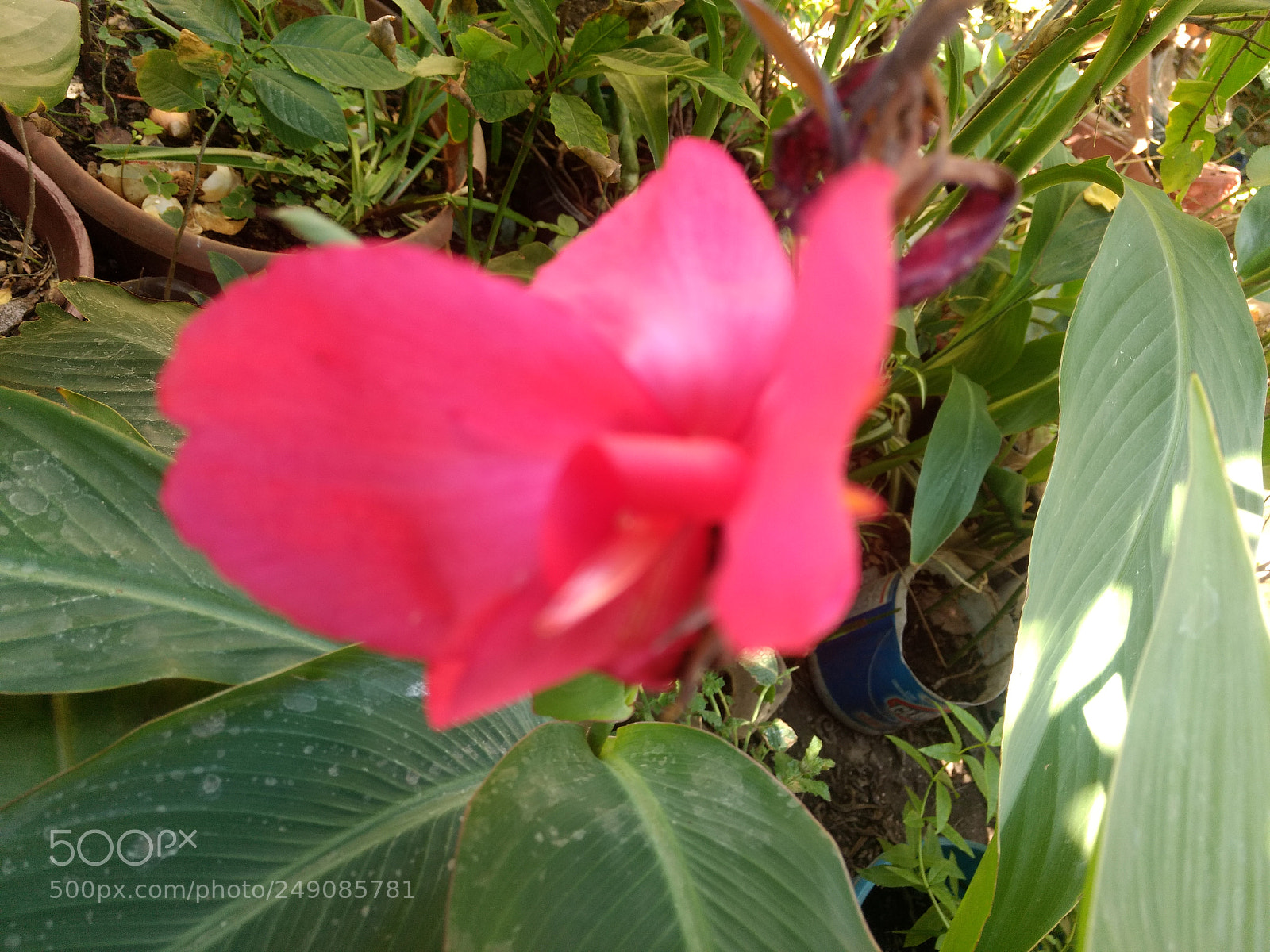 Motorola Moto Z Play sample photo. Untitled photography