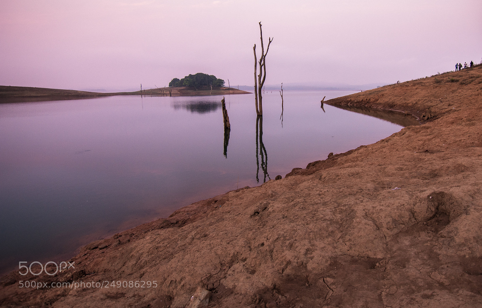 Nikon D7200 sample photo. The placid backwaters of photography