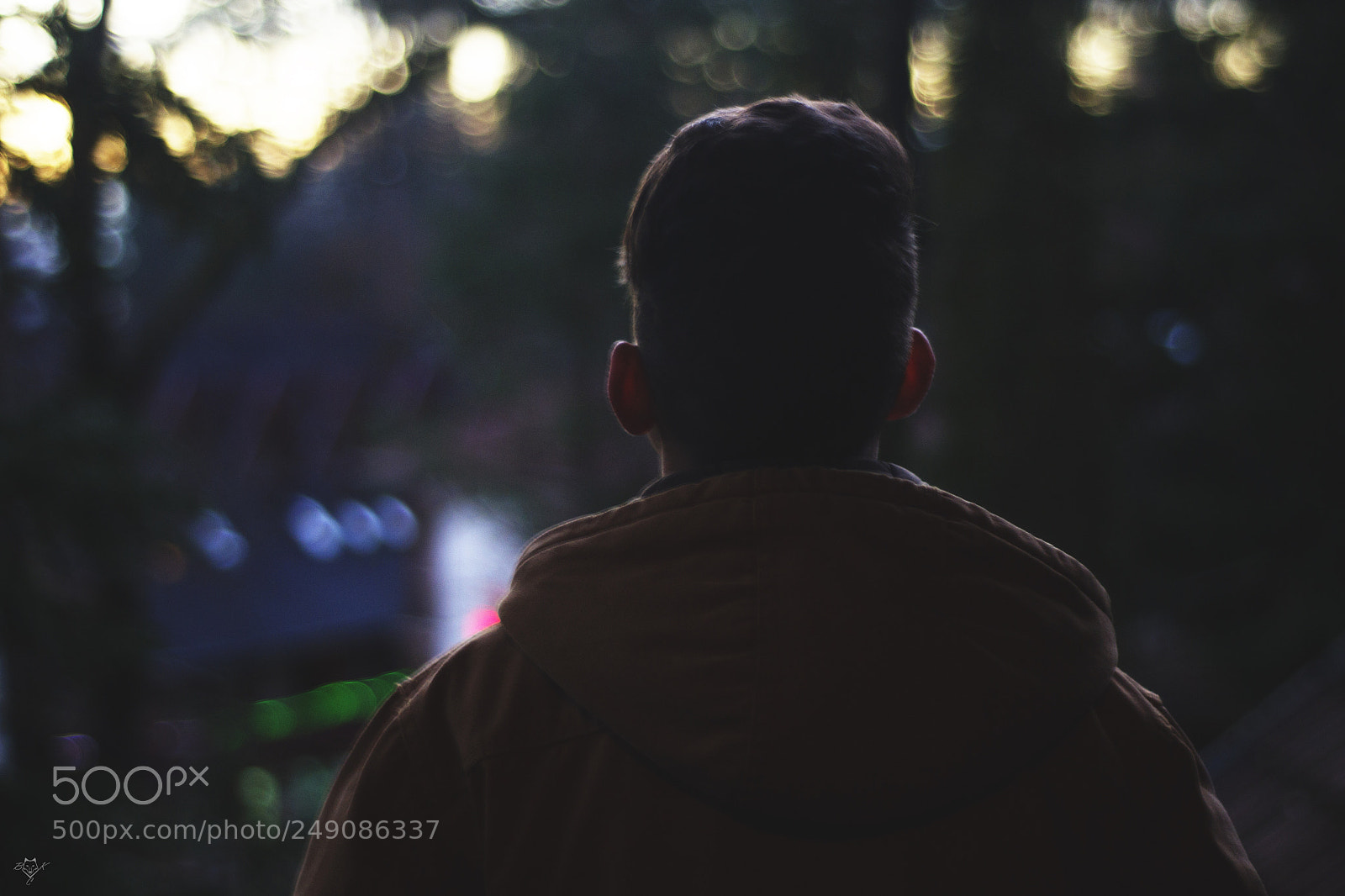 Nikon D3100 sample photo. Untitled photography