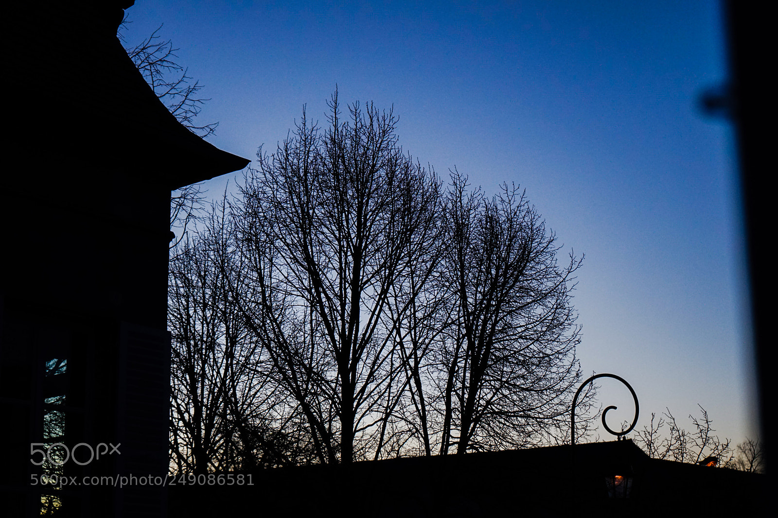 Sony a7 sample photo. Untitled photography