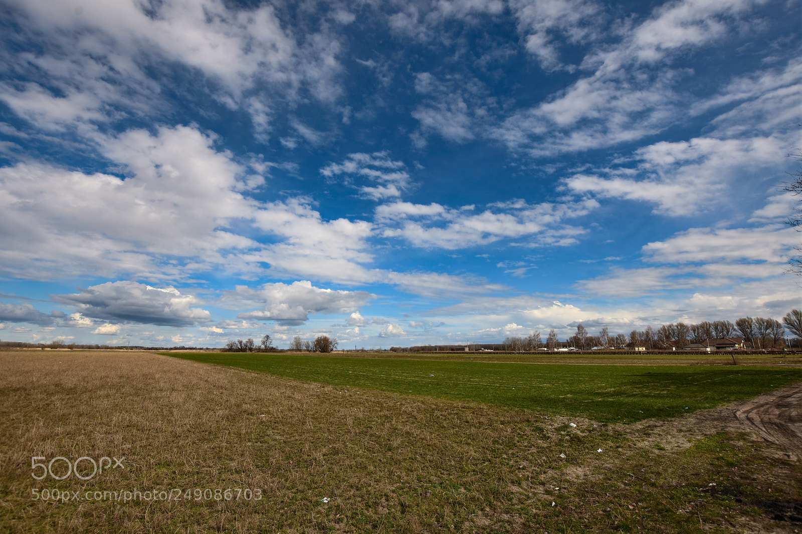 Nikon D7200 sample photo. Untitled photography