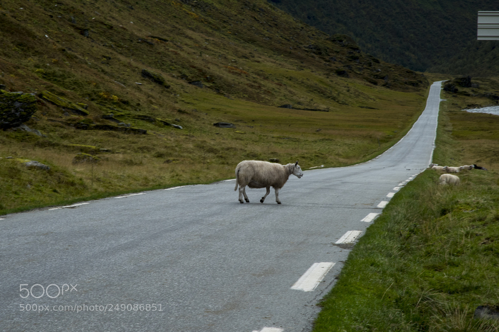 Nikon D810 sample photo. Alone on the road photography