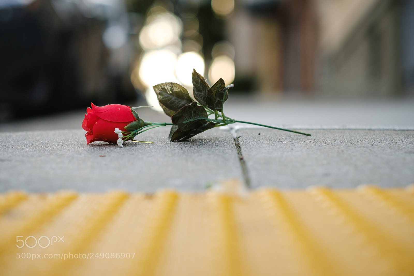 Fujifilm X-T20 sample photo. Beautiful detritus photography
