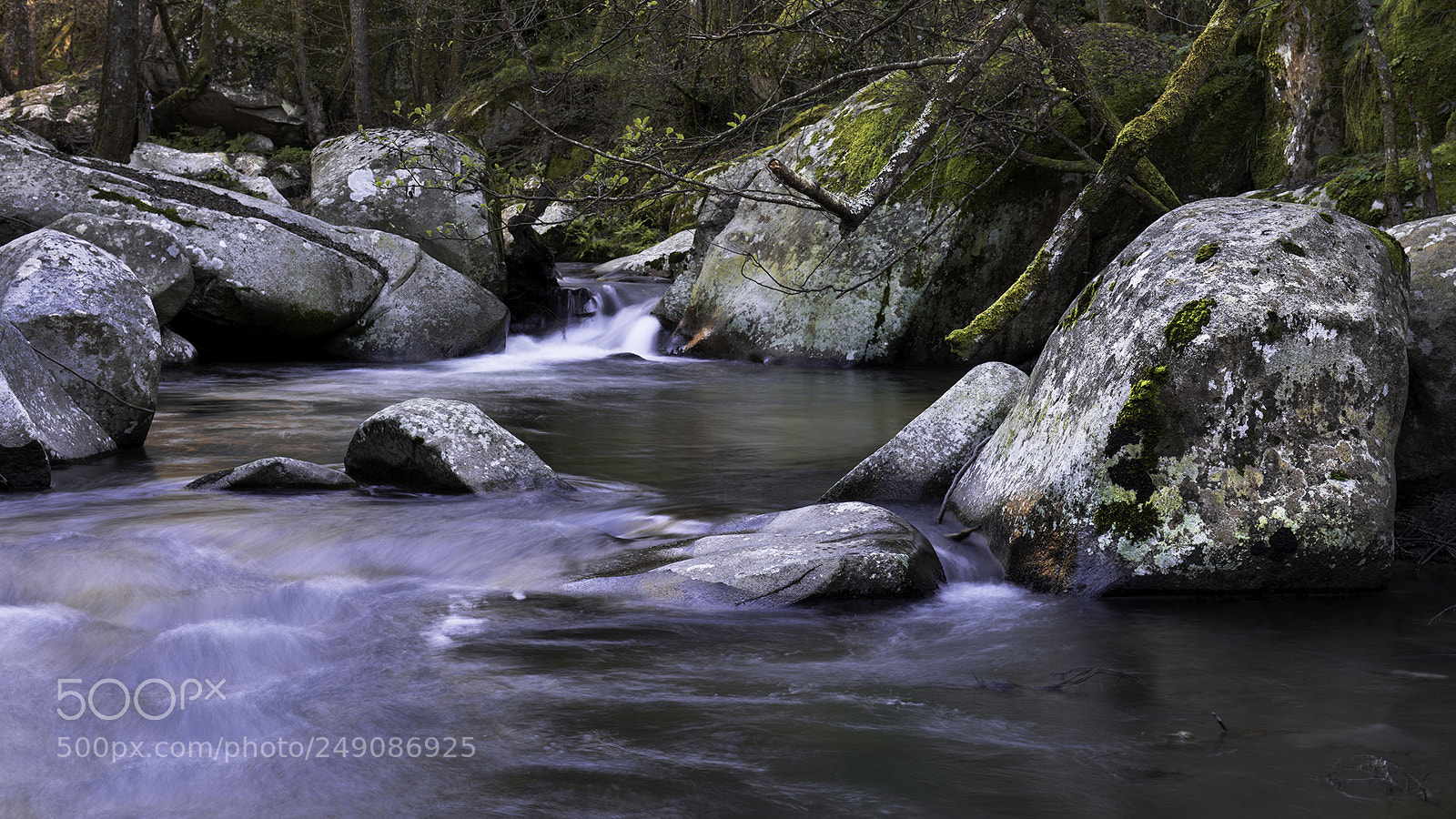 Nikon D810 sample photo. River photography